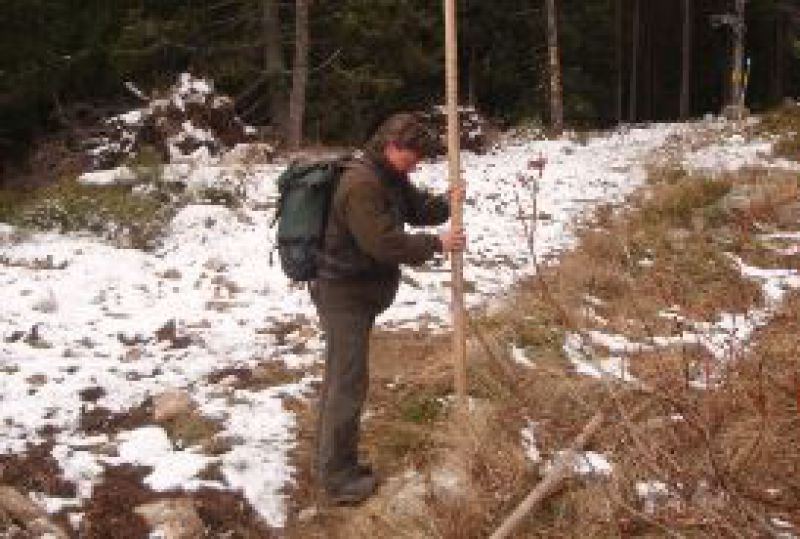 Tatranskí lesníci značia v zime tyčami