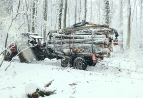 Ponúkam služby v lesníctve