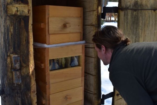 Mnoh&iacute; lesn&iacute;ci sa op&auml;ť postupne st&aacute;vaj&uacute; aj včel&aacute;rmi 