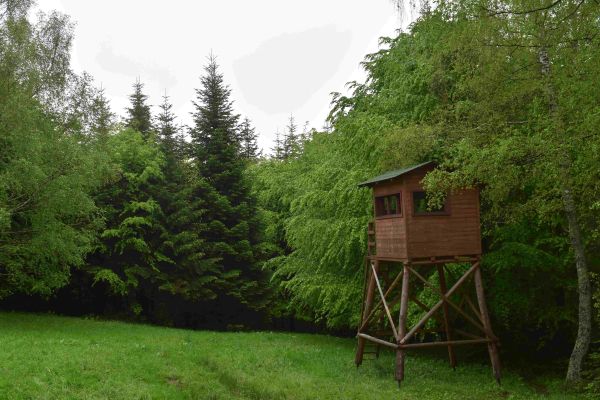 Ilustračné foto: Jozef Marko 