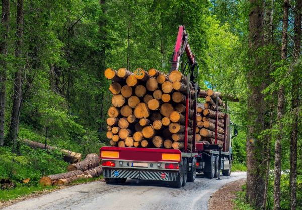 MHSL, m. r. o., Trenč&iacute;n - Ozn&aacute;menie o z&aacute;mere &bdquo;Predaja drevnej hmoty na odvoznom mieste"