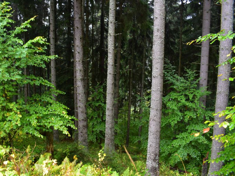 Ilustračné foto: Jozef Marko 