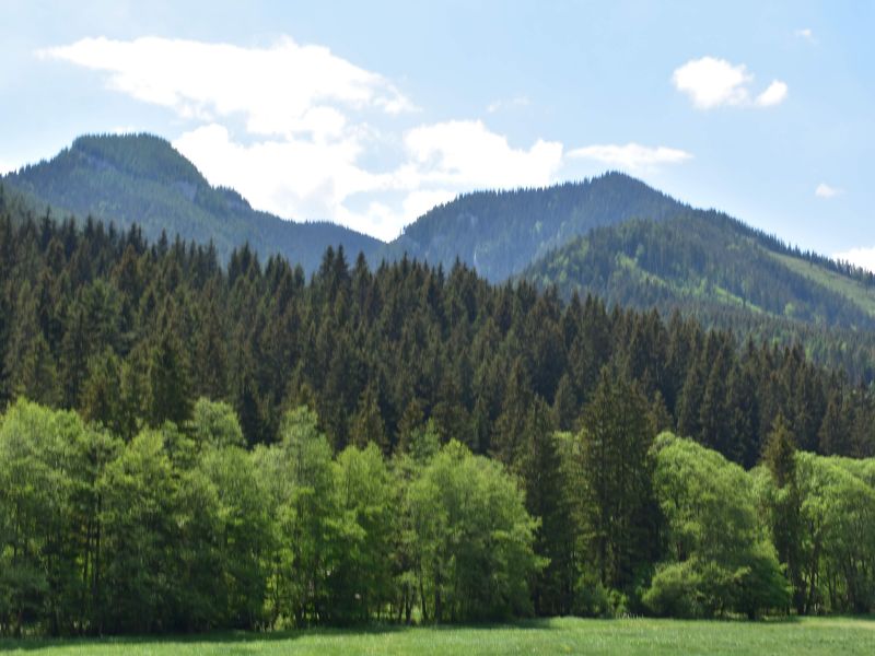 Ilustračné foto: Jozef Marko 