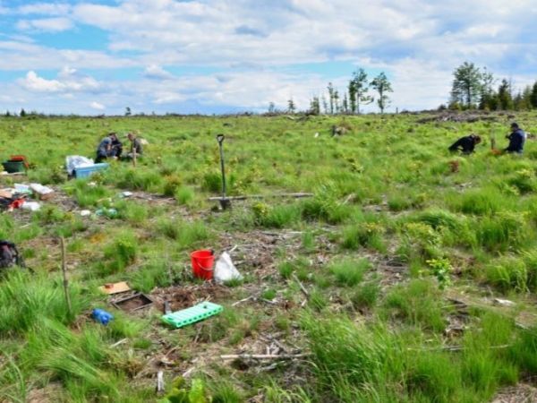 Zdroj: Internetová stránka VÚLHM 