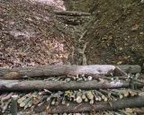 Dreven&eacute; prehr&aacute;dzky 