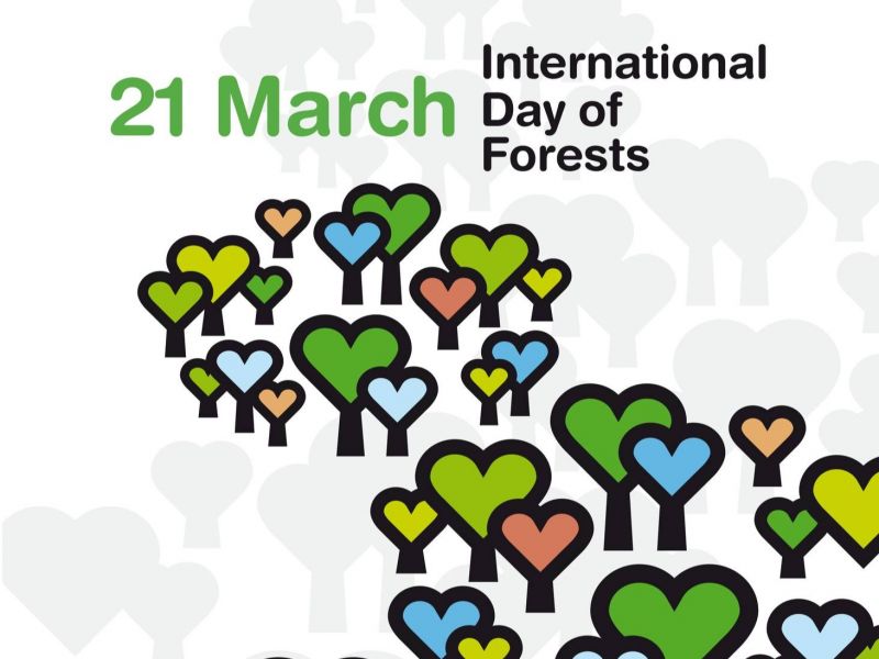 Zdroj: &Scaron;OP SR 