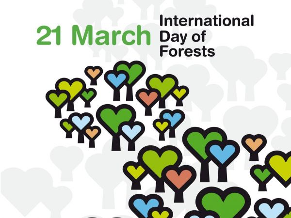 Zdroj: &Scaron;OP SR 