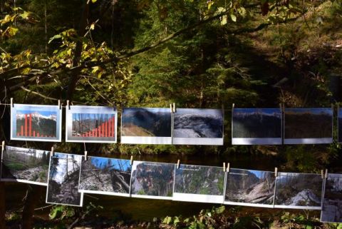 Fotografie Ing. Jána Slivinského, dokumentujúce stav lesov, vody a pôdy v bezzásahovom režime v Tatranskom národnom parku 