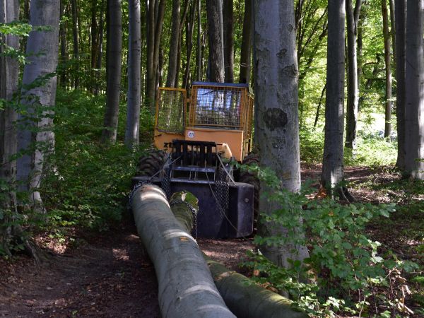 Ilustračné foto: Jozef Marko 