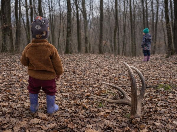 Zdroj: FB str&aacute;nka Lesn&aacute; pedagogika 