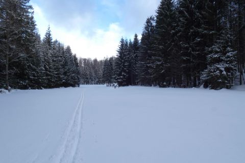 Zimná scenéria s lyžiarskou stopou 