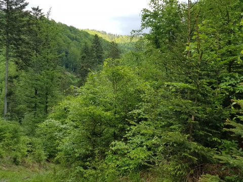 Foto k statusu Ing. Róberta Gombárika 