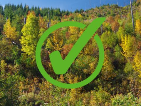 ÚNIA dlhodobo bojuje za zdravé a zelené lesy