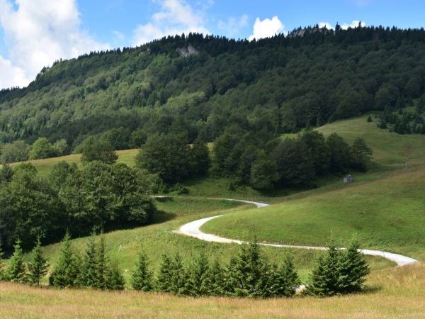 Ilustračné foto: Jozef Marko 