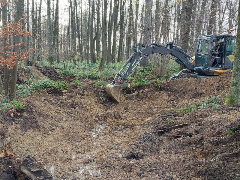 Hĺbenie tôní v třineckom lesoparku 