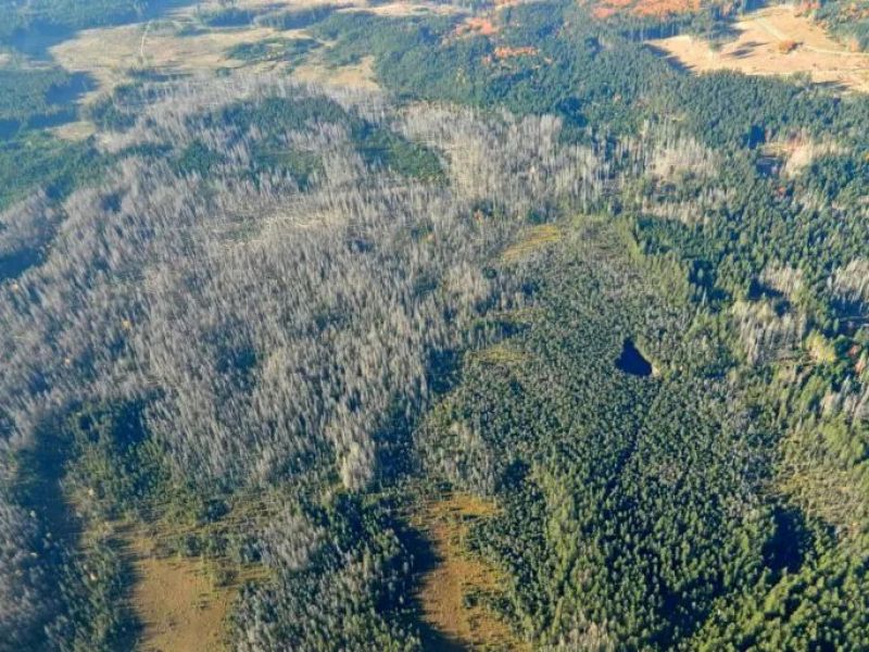 Zdroj: Internetová stránka VÚLHM 