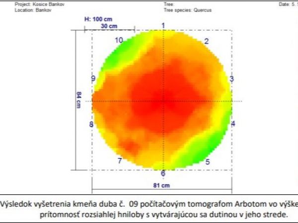 Zdroj: FB stránka Mestské lesy Košice 