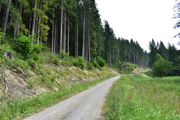 Ilustračné foto: Jozef Marko 