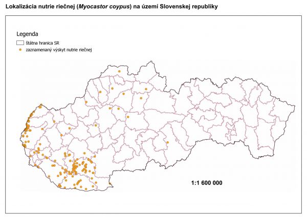 Rozšírenie nutrie riečnej na Slovensku 