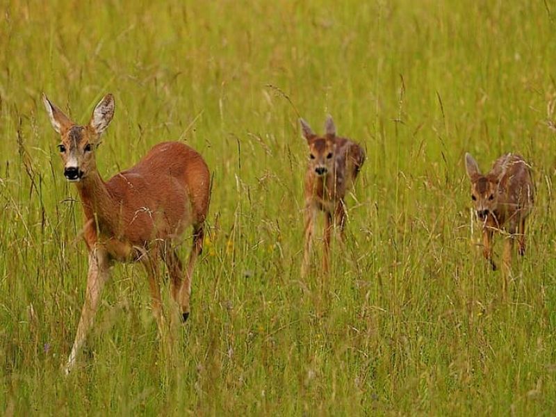  Ilustračn&eacute; foto: Ing. Patrik Komora 