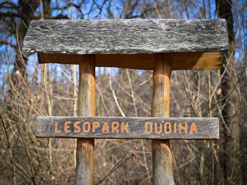 Zdroj: FB stránka mesta Karviná 