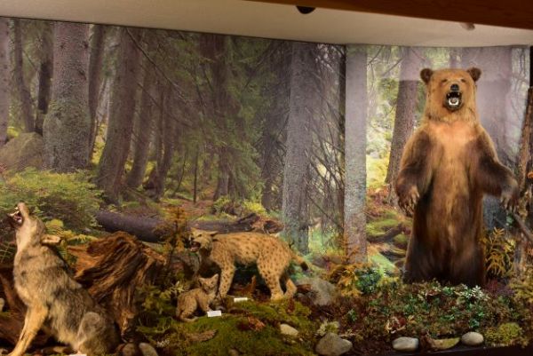 Ilustračn&eacute; foto Jozef Marko