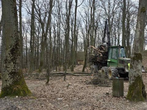 Zdroj: FB stránka Mestské lesy Košice 