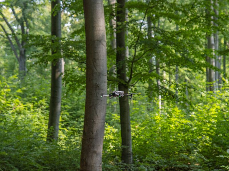 Zdroj: Internetová stránka LDF ČZU Praha 