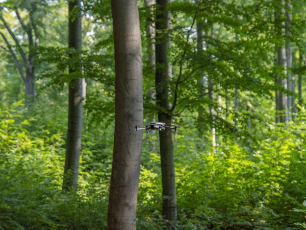 Zdroj: Internetová stránka LDF ČZU Praha 