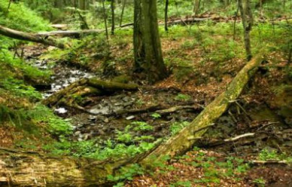 Svetové prírodné dedičstvo na Slovensku