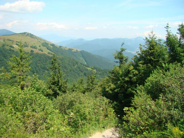 Bodujeme lesmi, ale strácame na odpade