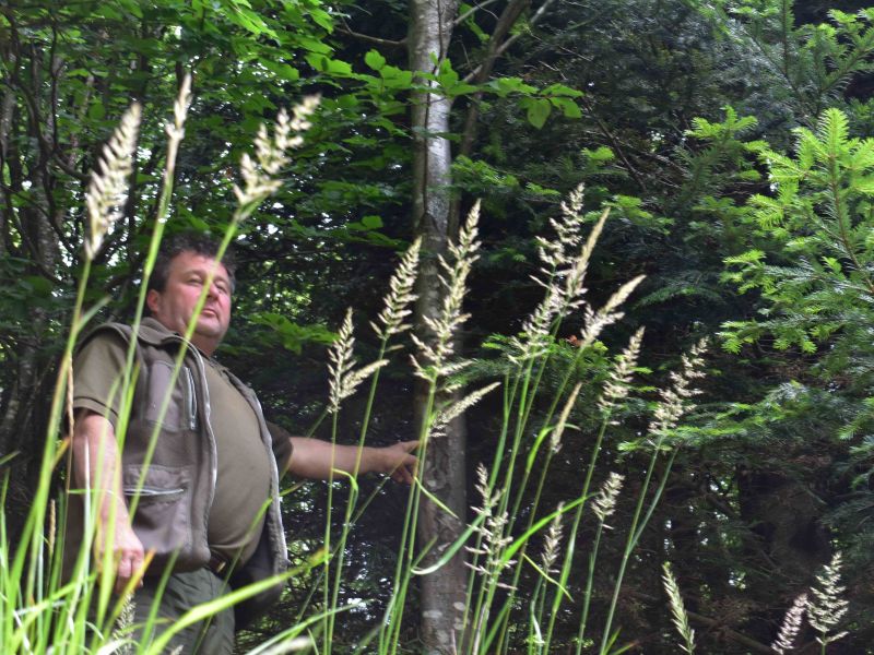 Jaroslav Kovalčík v poraste Smolníckej Osady 