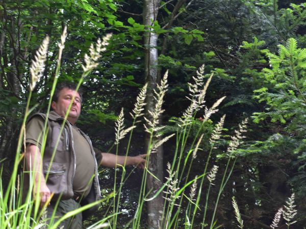 Jaroslav Kovalčík v poraste Smolníckej Osady 