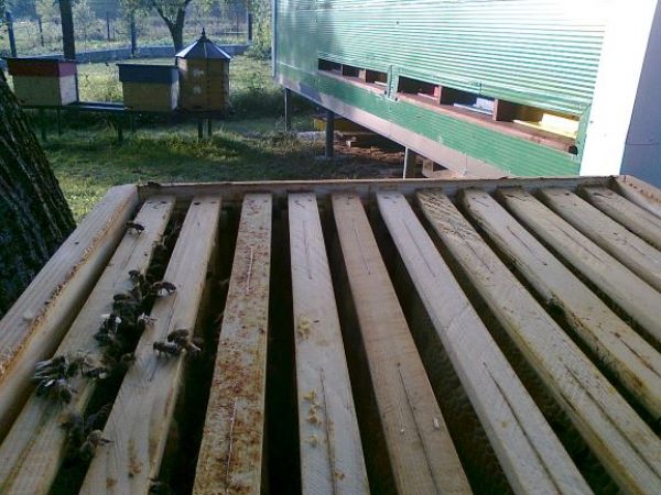 Ilustračn&eacute; foto Jozef Marko