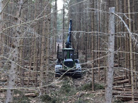 Ilustračné foto: Jozef Marko 