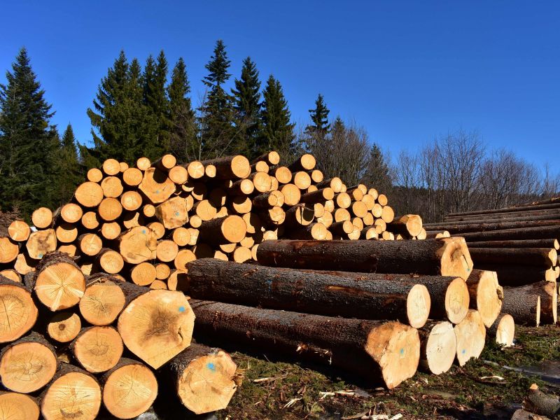 Ilustračné foto: Jozef Marko 