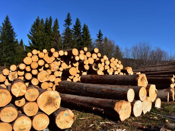 Ilustračn&eacute; foto: Jozef Marko 