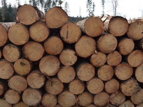 Ilustračné foto: Jozef Marko 