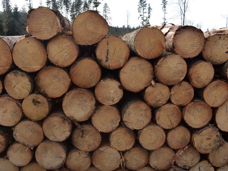 Ilustračné foto: Jozef Marko 