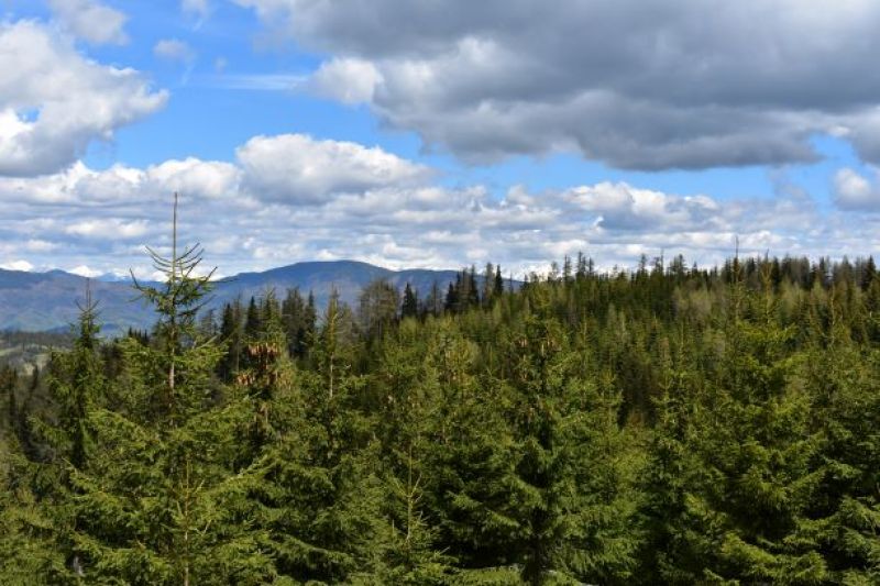 Pohľad z Muránskej planiny na Nízke Tatry v poradí s končiarmi Vysokých Tatier 