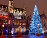 Rozpaky nad slovensk&yacute;m stromom