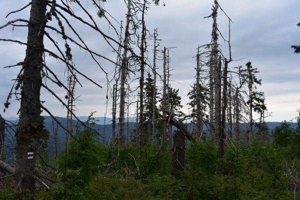 Fabova hoľa v Národnom parku Muránska planina 