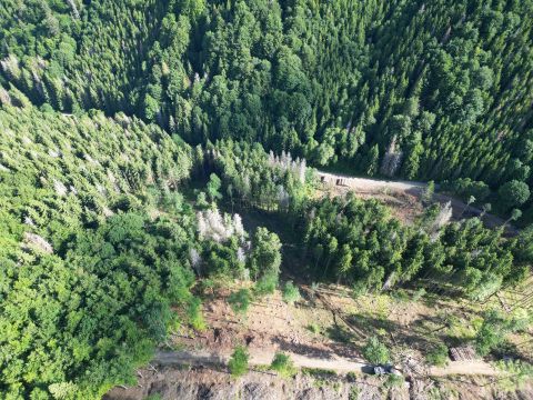 Zdroj: Internetová stránka LESY SR 