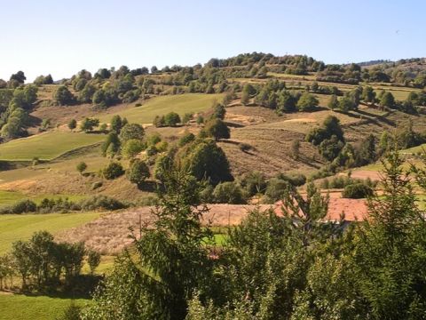 Príklad agrolesníckych postupov 