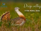 Zdroj: FB str&aacute;nka SOS BirdLife Slovensko 