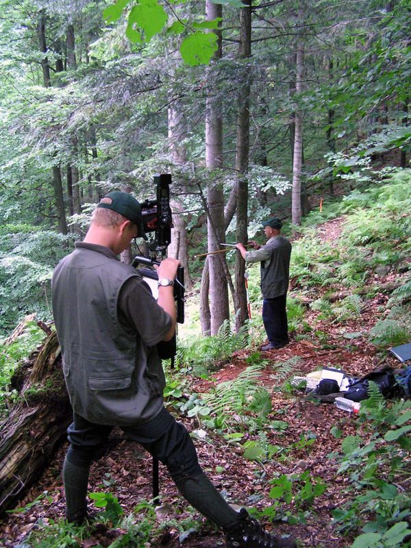 Meranie z&aacute;sob dreva v poraste modernou technol&oacute;giou 