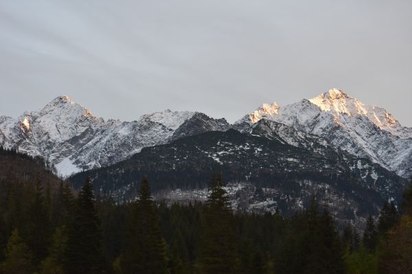 Ilustračné foto Jozef Marko