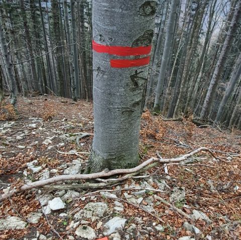 Ilustračné foto: FB stránka Únie regionálnych združení vlastníkov neštátnych lesov Slovenska 