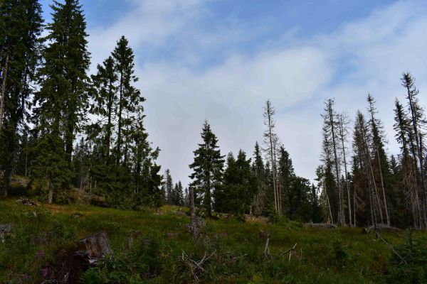 Ilustračné foto: Jozef Marko 