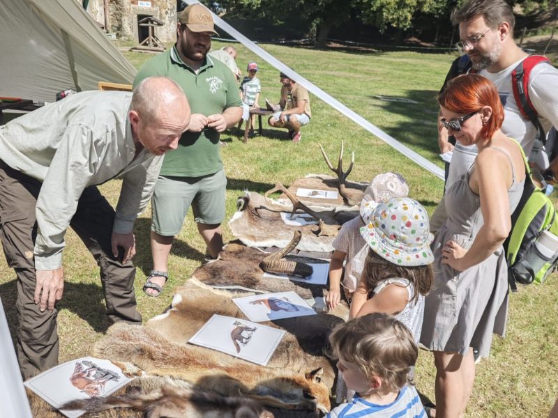 Zdroj: Internetová stránka Lesy ČR